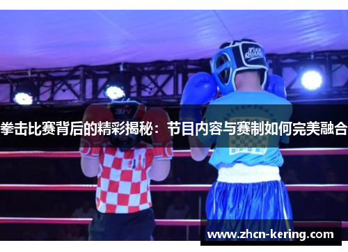 拳击比赛背后的精彩揭秘：节目内容与赛制如何完美融合